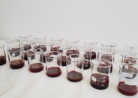 Aderlass - ein uraltes Heilverfahren